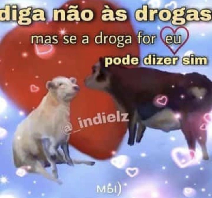 Salve tml, na falta de amigos vou fazer um ppp aqui mesmo então solta o "." aí.

obs.: se é comprometido e ta em um relacionamento fechado pfvr n comente