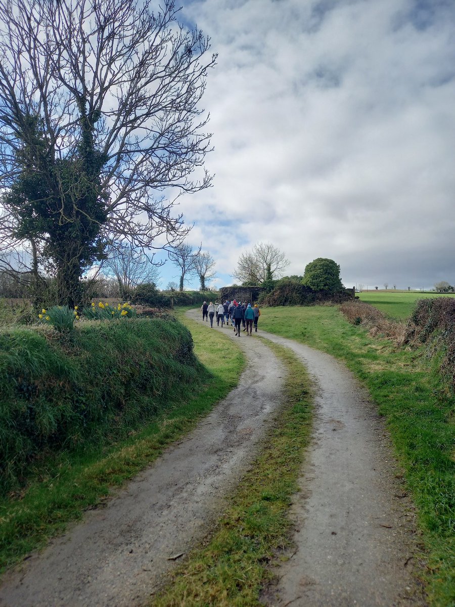 Another really interesting, practical & enjoyable day with @DeptOfSciSETU final years at the @teagasc @TeagascACP catchment in Wexford. Thanks to Eddie, Mark, Bridget & James. We even saw the sunshine!