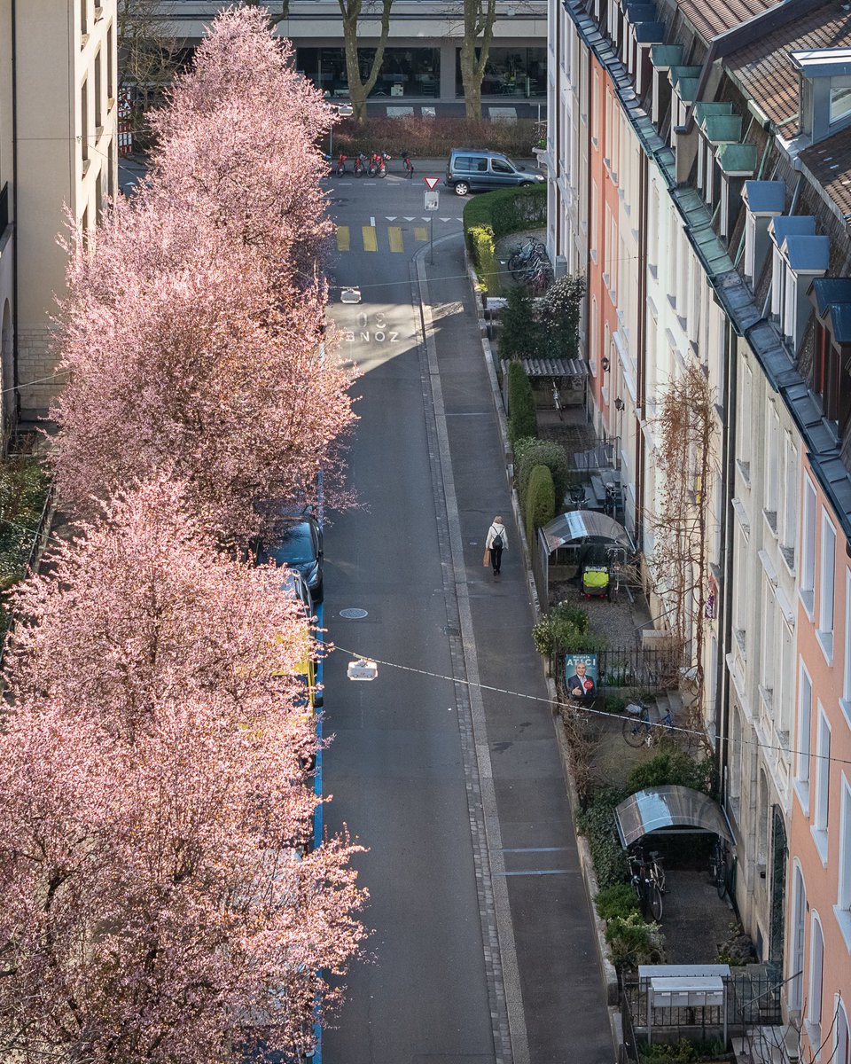Raphael Alù (@aluartsbasel) on Twitter photo Wahlplakat prominänt im Bild 😅! Do fallt mr grad e passend Spruch ih: Willsch das Basel witer blieht - wählsch so, dass dr Atici regiert! 🌸😄 <a href="/atici_ch/">Mustafa Atici</a> <a href="/SPBaselStadt/">SP Basel-Stadt</a> Wahlplakat prominänt im Bild 😅! Do fallt mr grad e passend Spruch ih: Willsch das Basel witer blieht - wählsch so, dass dr Atici regiert! 🌸😄 <a href="/atici_ch/">Mustafa Atici</a> <a href="/SPBaselStadt/">SP Basel-Stadt</a>