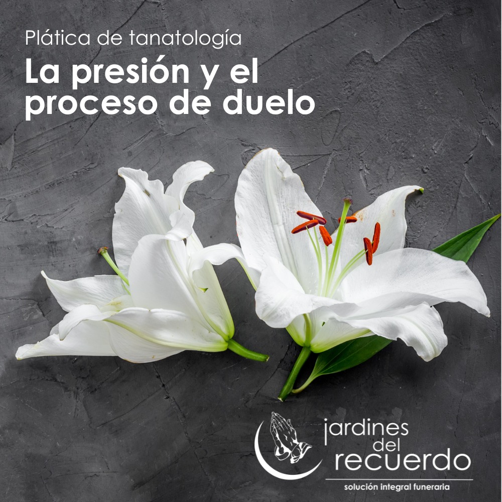 JardinesDelRecuerdo tweet media