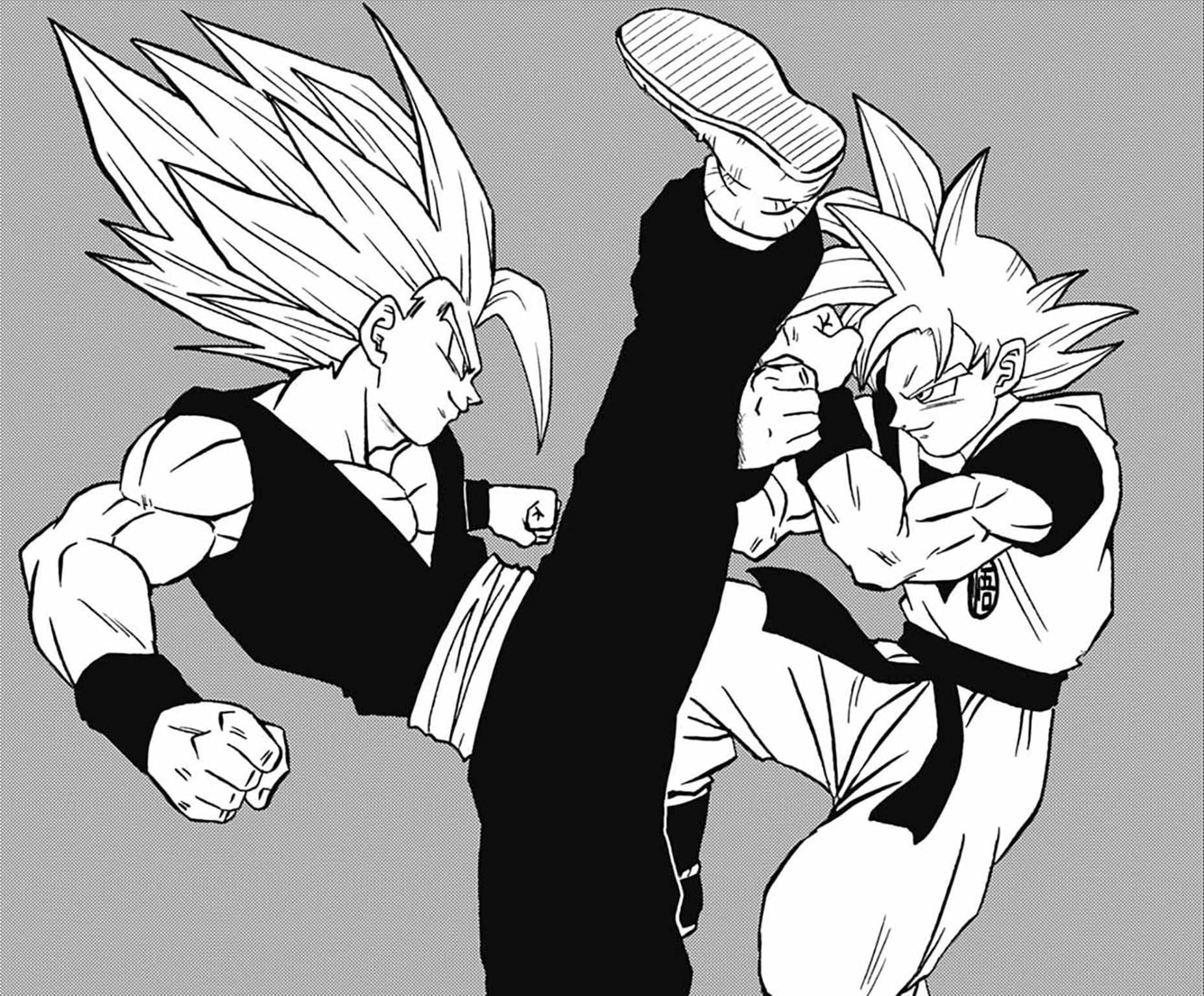 Juan on X: "MANGA DRAGON BALL SUPER: NÃO TEREMOS IMAGENS EM RESPEITO AOS ACONTECIMENTOS RECENTES, BORA LÁ Goku vs Gohan: Gohan aparentemente venceu ( Goku desistiu ao que parece) Broly vs Beast Gohan