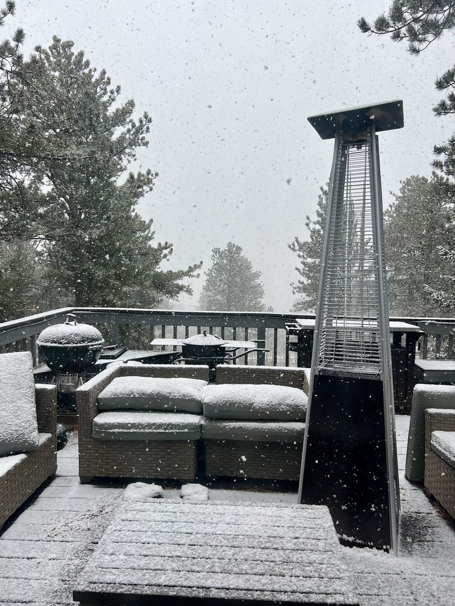 MaraVKelly tweet media