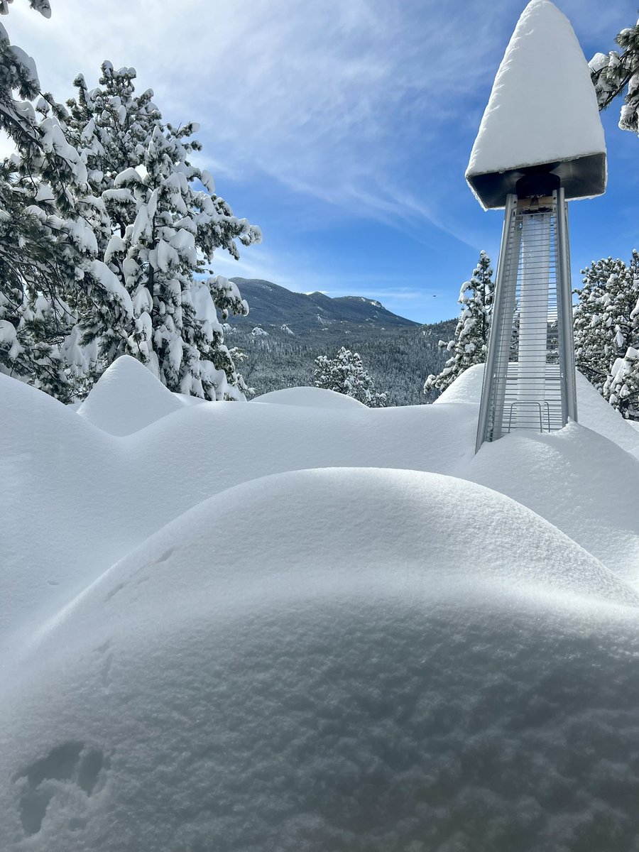 MaraVKelly tweet media