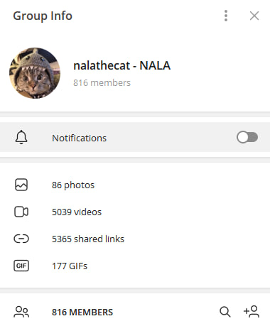 nalathecat tweet media