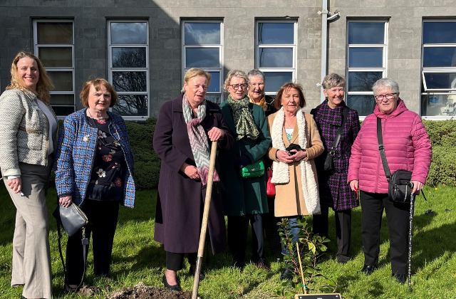 “Our roots are in Sligo but our shoots spread worldwide”, that’s the inscription on the plaque at Sligo University Hospital which was installed to commemorate the hospital’s first nurses-in-training. 1/