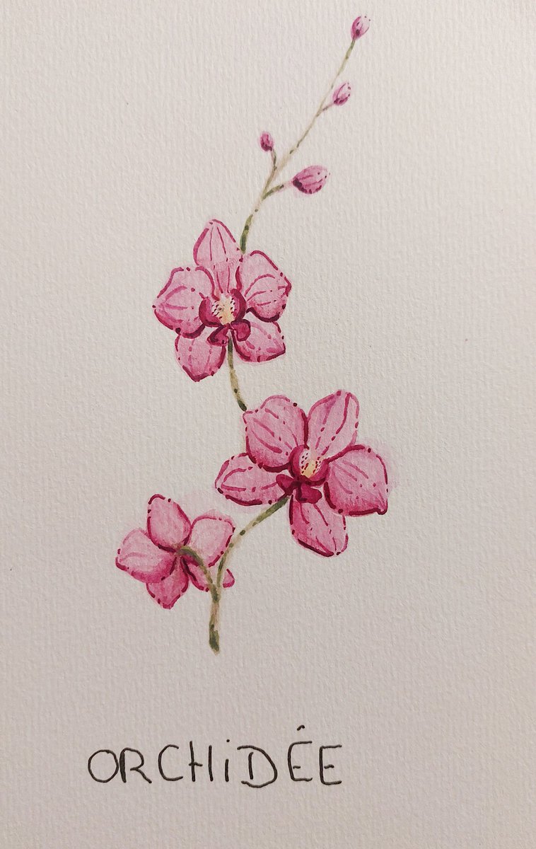 lejindaryChibi's tweet photo. Ça fait longtemps que j'ai pas posté mes peintures ici 🎀✨️ https://t.co/9J55HdEpVi