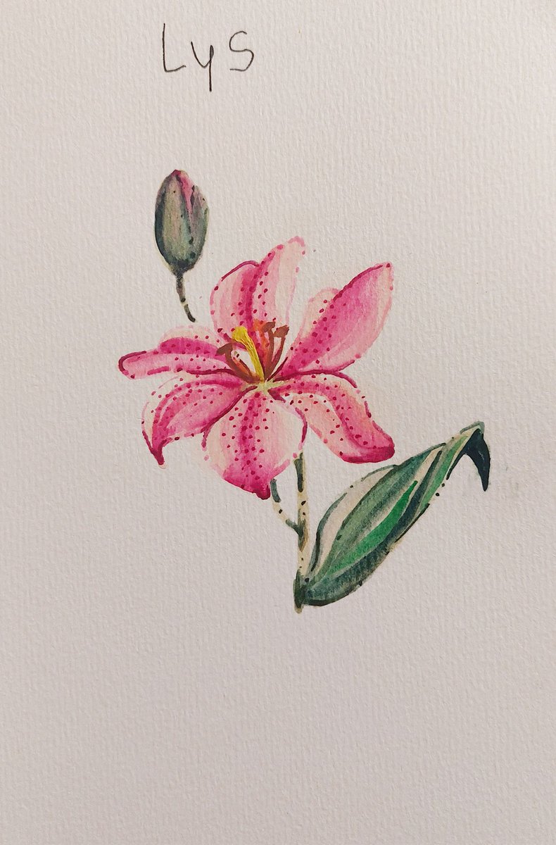 lejindaryChibi's tweet photo. Ça fait longtemps que j'ai pas posté mes peintures ici 🎀✨️ https://t.co/9J55HdEpVi