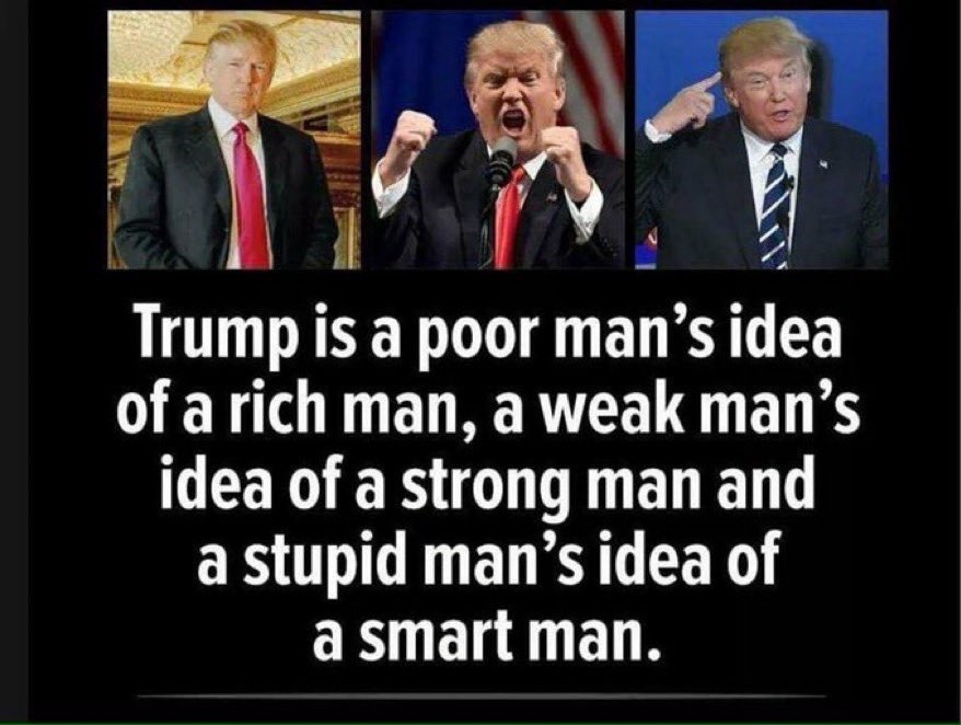 UnrealBradPitt's tweet photo. No legit human being with more than 2 brain cells is voting for Trump in 2024 to become the Dictator of America.

#Trump2024 #TrumpIsACriminal 
#Biden https://t.co/jN7JsZ4jEf