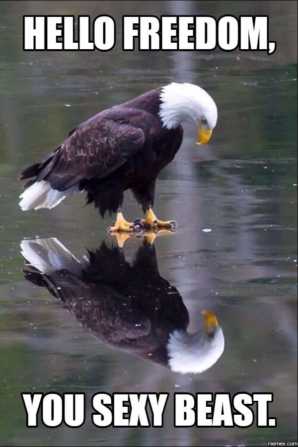 MidasBull's tweet image. Join me all of you beautiful FREEDOM LOVERS: @MidasBull 
#LoveFreedom #LoveLiberty #Freedom #Liberty #BornFree #LiveFree #LiveAndLetLive 🕊️🗽🇺🇸🤘