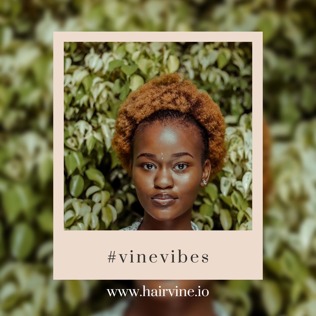 joinhairvine's tweet photo. Stylists overwhelmed by scheduling &amp; client management?   https://t.co/NU141Ga0Dn streamlines tasks &amp; frees you to focus on what matters: creating beautiful hair! ✨ #SalonTech #BeautyBoss #Hairvineio  #comingsoon https://t.co/1Xr0vdWqT0 https://t.co/UcLj3U27ty
