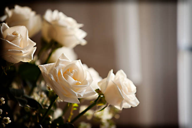 CremationSource's tweet photo. We understand how difficult it can be to plan a funeral while grieving. Click the link and let us help alleviate some of that stress with our compassionate and caring services. https://t.co/FCa5QzIhy0 https://t.co/IvzHiaPPgL