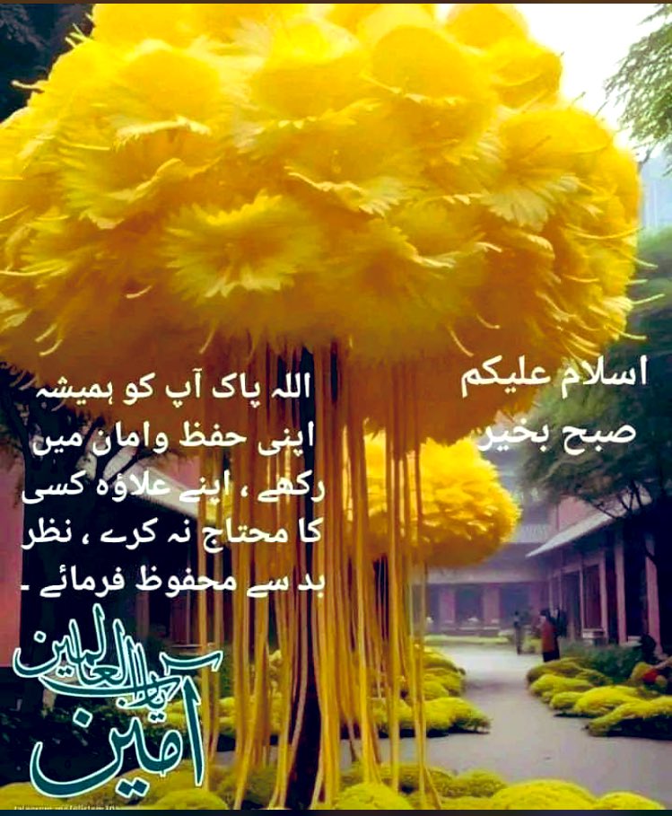 اسلام وعلیکم   پانچویں سحری مبارک۔
صبح بخیر