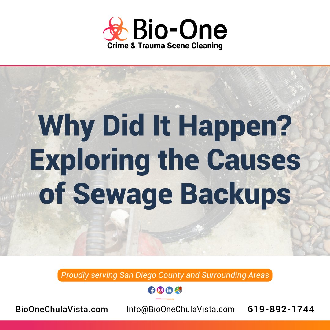 BioOneCV's tweet photo. Learn how to handle the causes of sewage backups, immediate action steps, and professional cleanup with expert advice from Bio-One.

📰: https://t.co/ltCipElYbc

📞Free estimates at 619-892-1744.

#bioone #chulavista #sandiego #blog #news #biohazardcleanup #housetips https://t.co/9P2vVw1dGO