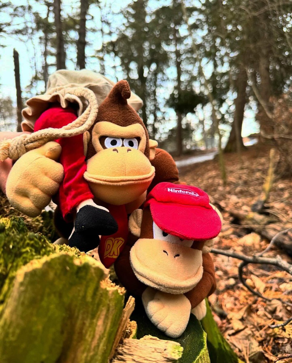 SuperMarioRich's tweet photo. New Video just dropped! 🐵🍌 https://t.co/qRUSDXQTV9 https://t.co/jW0aYQwxUN