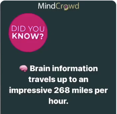 TGenMINDCROWD's tweet photo. ๐ DID YOU ๐ซต KNOW?
๐ง Brain information travels up to an impressive 268 miles per hour!
Pass it On!! ๐
โญโญโญ Want to know more? Link in Bio ๐
#MindCrowd #TheBrain #BrainTrivia #PassItOn https://t.co/LO2AhzxRqJ