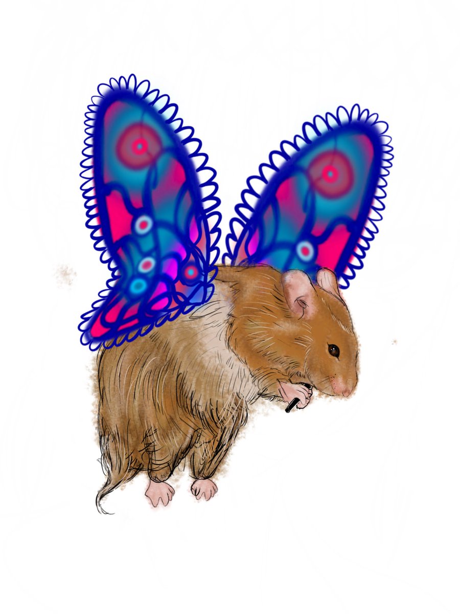 Tyler Gregoire tweet media