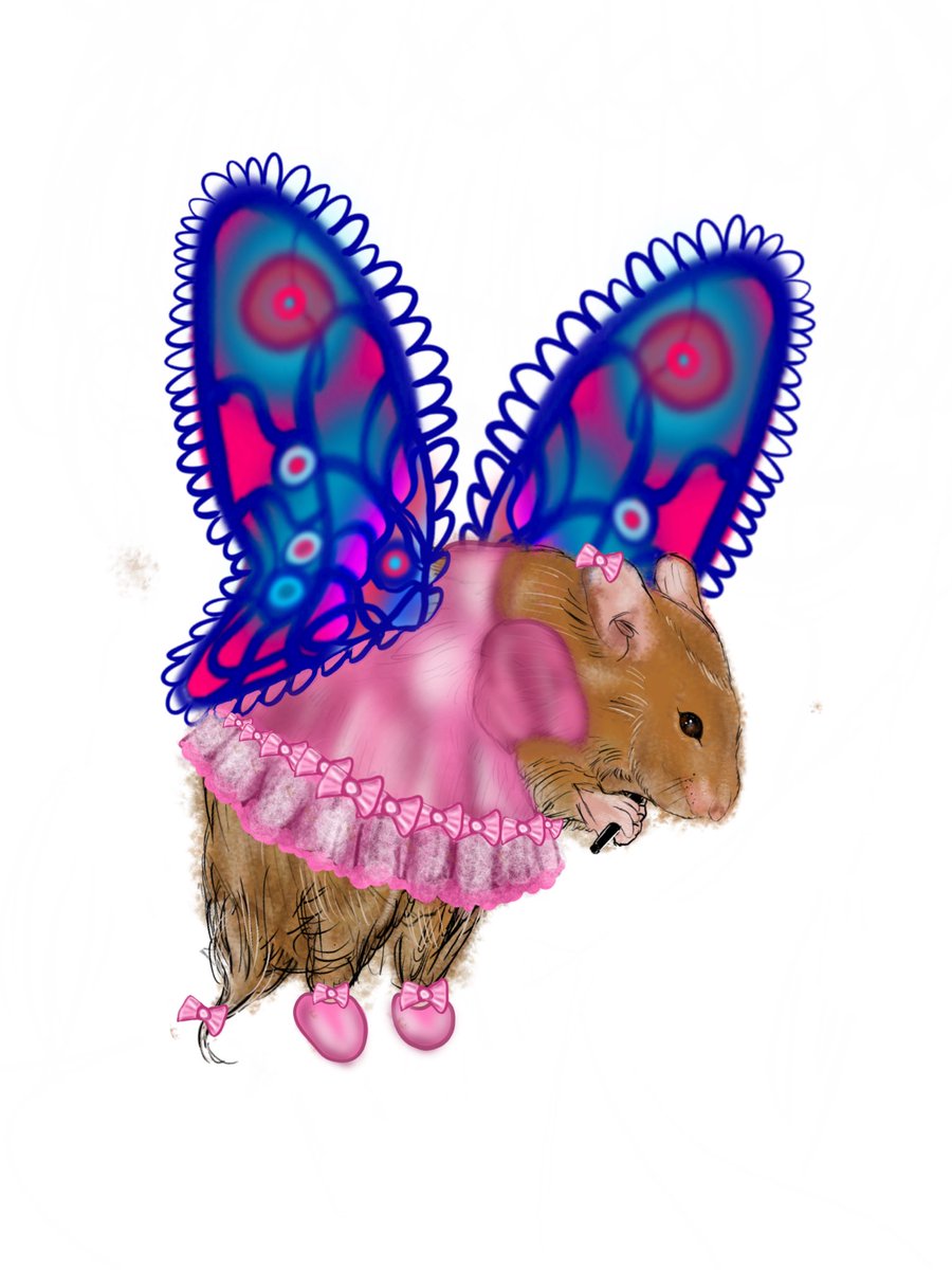 Tyler Gregoire tweet media