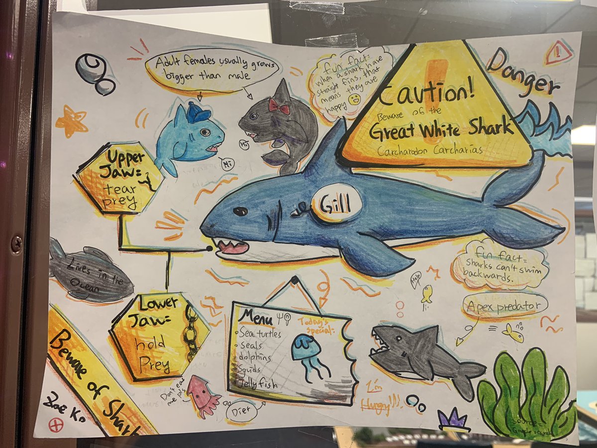 M_Toro_11's tweet photo. #marchmammalmadness
 #2024MMM hoping to see some student artwork on an episode of #rodentroundtable https://t.co/7IGCfcrVWj