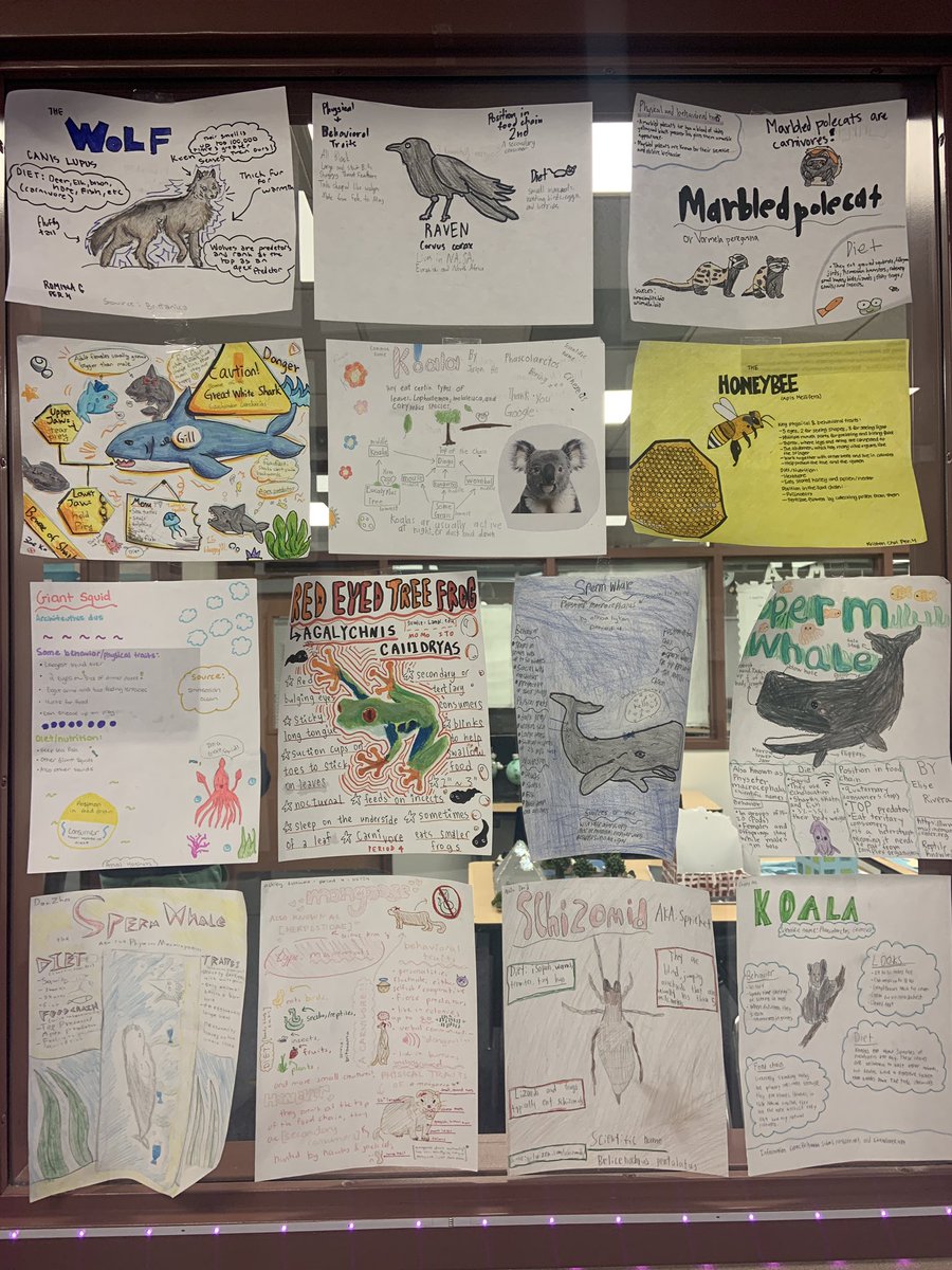 M_Toro_11's tweet photo. #marchmammalmadness
 #2024MMM hoping to see some student artwork on an episode of #rodentroundtable https://t.co/7IGCfcrVWj