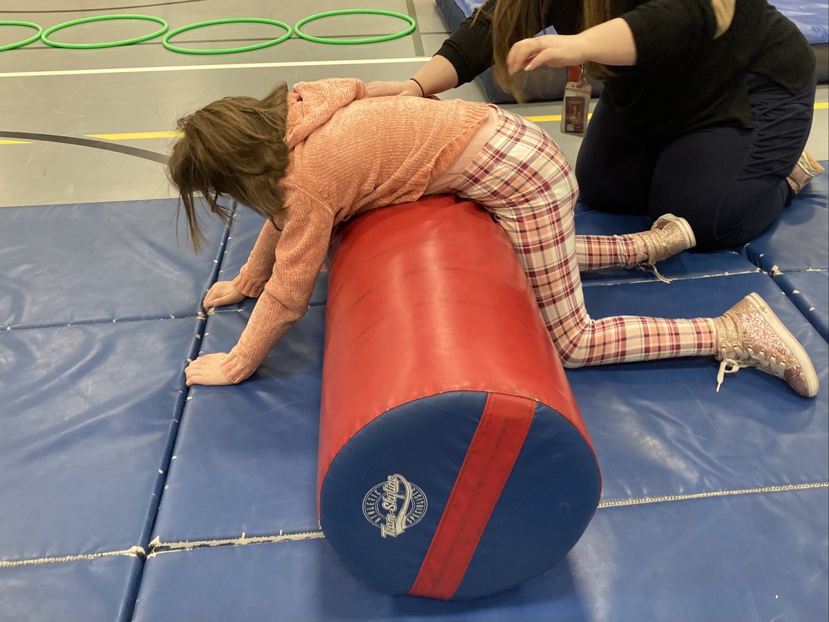 BPSHawksEES tweet media