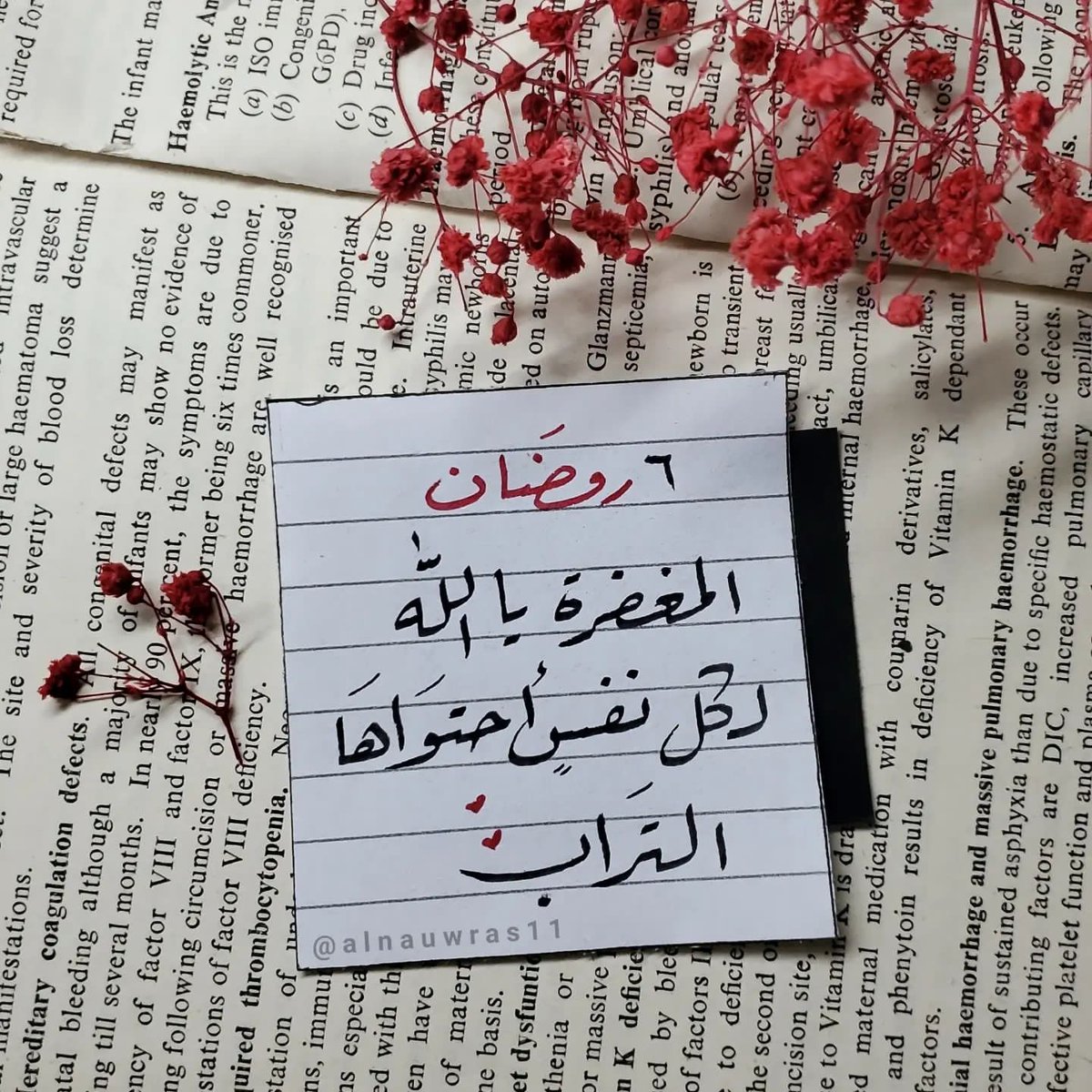 RwwfMstfy's tweet photo. ٦ رمضــــان♥️🌙
اللهم ارحم من كانو كتفًا وسندًا وبركةً وأمان لي ولإخوتي اللهم استجب كل دعاء دعوته لأبي و لأمي  واجعل دعواتي تصل إليهما على طبق من نور يارب العالمين
#رمضان https://t.co/J14pxeq35U