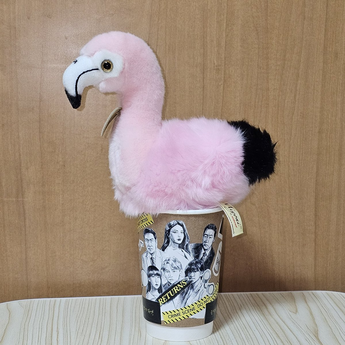물개 tweet media