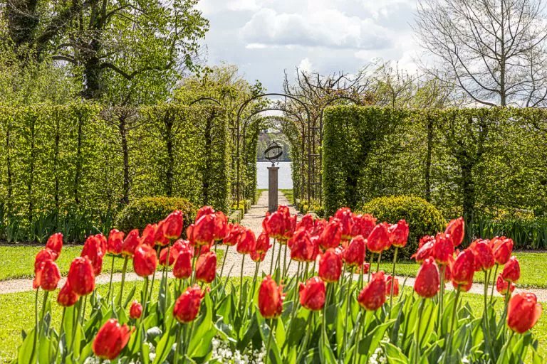 Spring Concert in the Liebermann-Villa next Wednesday, come and enjoy the Diplomatisches Quartett, the springtime garden and a glass of wine! #Berlin #konzert #klassik liebermann-villa.de/veranstaltunge…