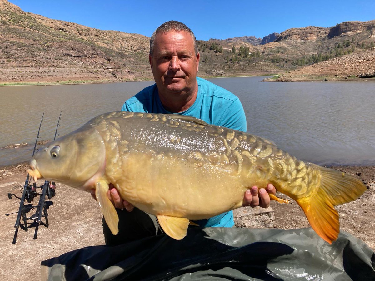 canarycarpfish's tweet photo. Lake Chira day trip carp captures to 35 lb🎣🎣🎣 https://t.co/WCZgntagZI