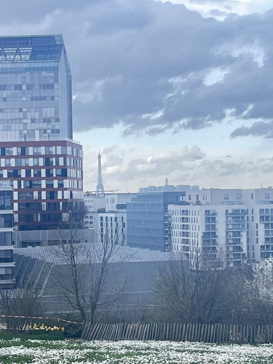 Maliabel's tweet photo. Biodiversité sur les terres
De Renault  la dépollution a bien marché !! https://t.co/BjCl0wkpvx