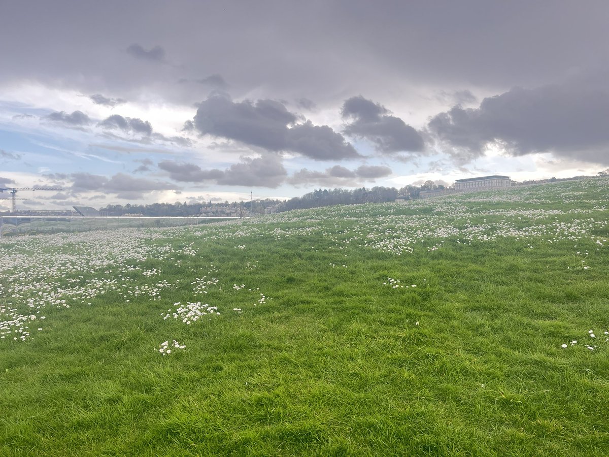 Maliabel's tweet photo. Biodiversité sur les terres
De Renault  la dépollution a bien marché !! https://t.co/BjCl0wkpvx