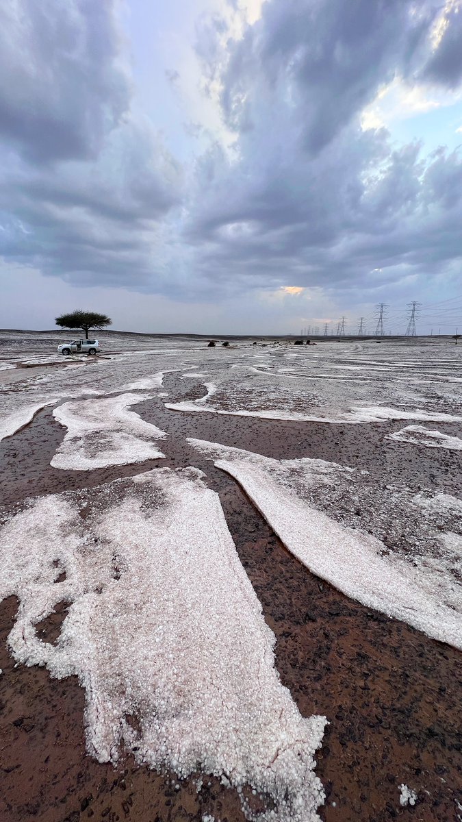من بردية جنوب جبل طميه ( غرب منطقة #القصيم ) اليوم الجمعة ١٤٤٥/٩/٥