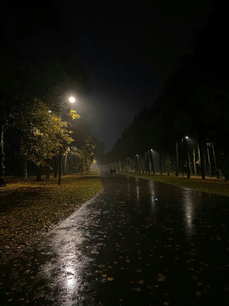 gIoomyweather's tweet photo. rainy night. https://t.co/xJ16H7yXhY