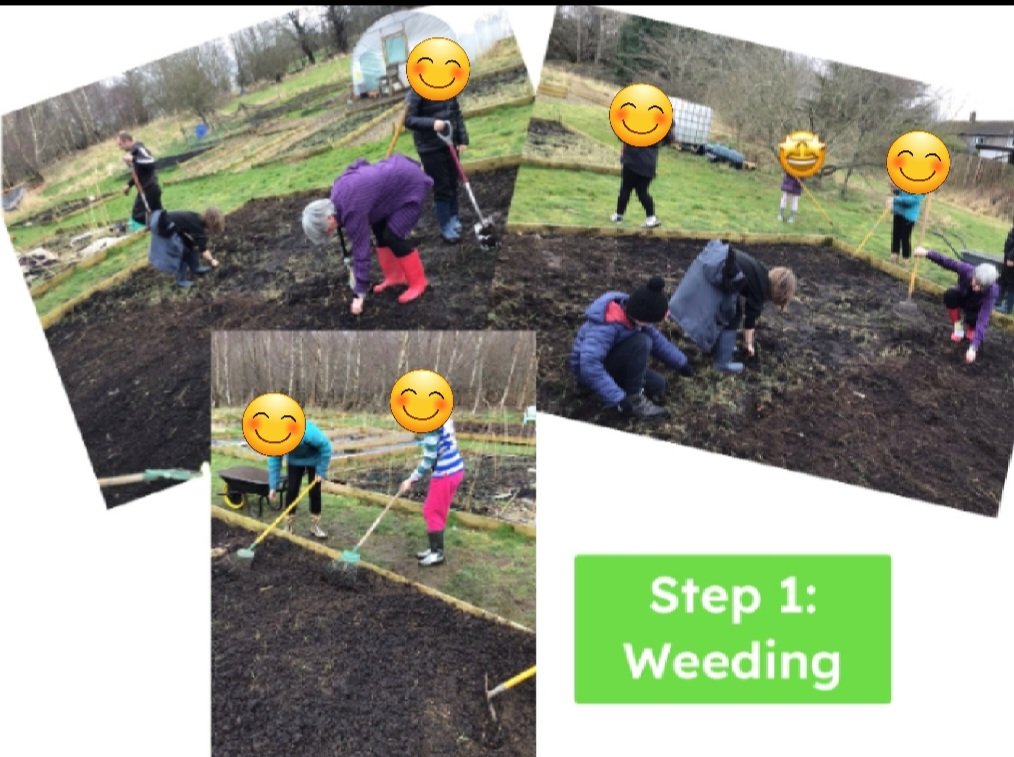 MrsMathieson1's tweet photo. A fabulous afternoon spent with @StrathmorePS Rights Respecting Rockstars getting our new allotment sorted at the Gallowshade Community Links Garden. Thanks to @MrsHendersonK for helping with the weeding. Next, it's the school planters! Nom nom nom 🥔🥕🥬🥦🧅🍓 https://t.co/iypw9xDfI6