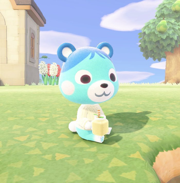 coffeexplease's tweet photo. Bluebear appreciation post🩵

#ACNH #AnimalCrossing #NintendoSwich https://t.co/PERGvnbnZV