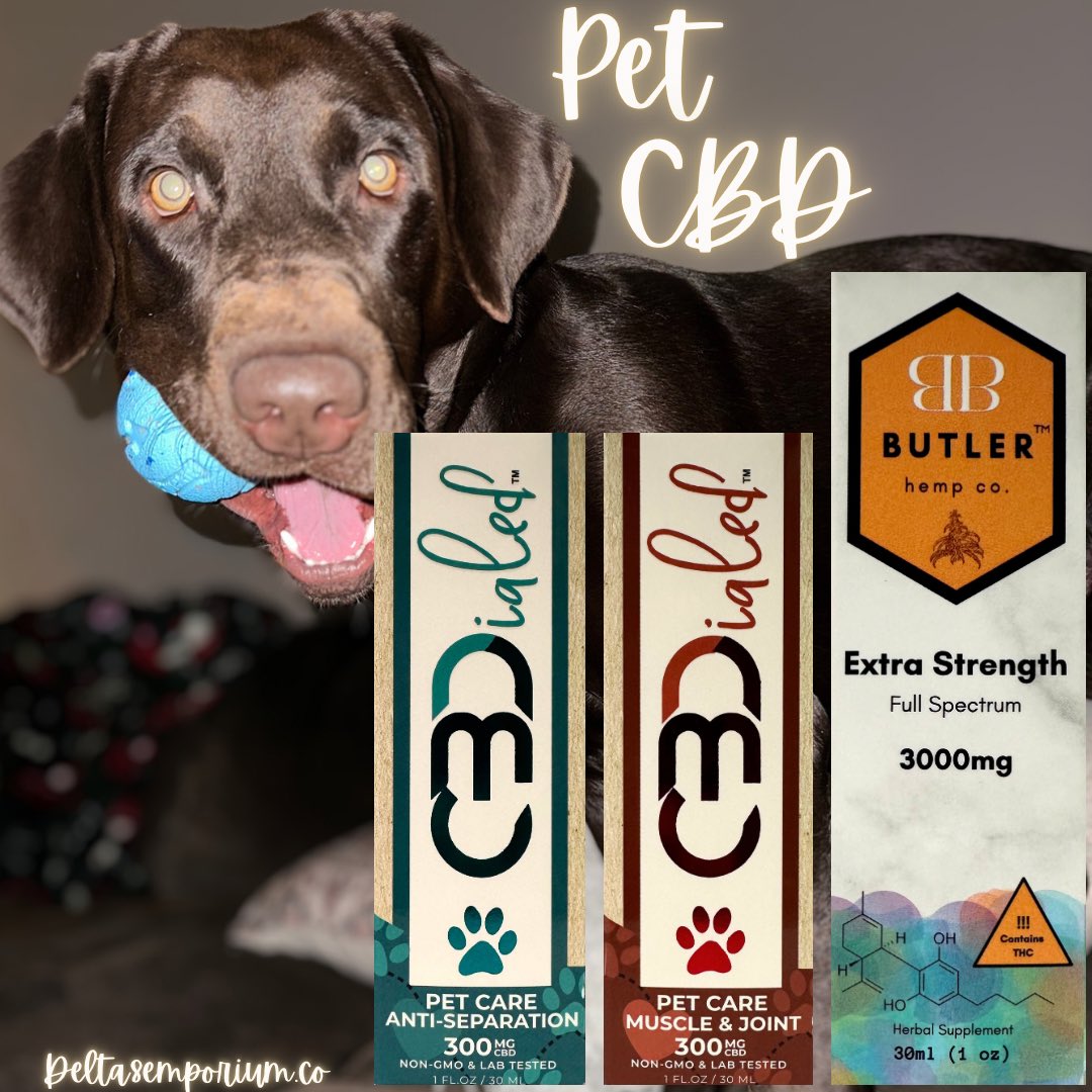 delta8emporium's tweet photo. Pet CBD🐶🐈

Summer is right around the corner, that means stormy weather and fireworks!

If your pets get anxious during these times click the link below to get a CBD tincture before they sell out.👇

https://t.co/GOkWaxsP0O

#Nebraska #CBD #petcbd #pet #animals #omaha https://t.co/qkD506CxUb
