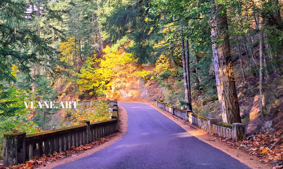 Friends, I'm grieving so I'll be posting a lot about Tim. I will tag his posts with #TimVeeStory so I can find them as I post them.

The first link is to #OrcasIsland, a magical place where Tim lived when he was in his 20s.