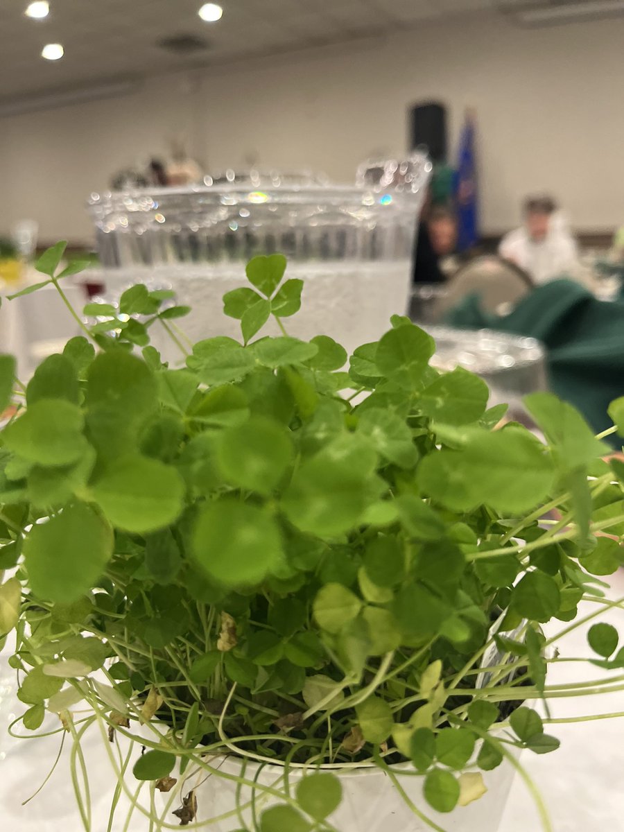 Irish Consulate Boston tweet media