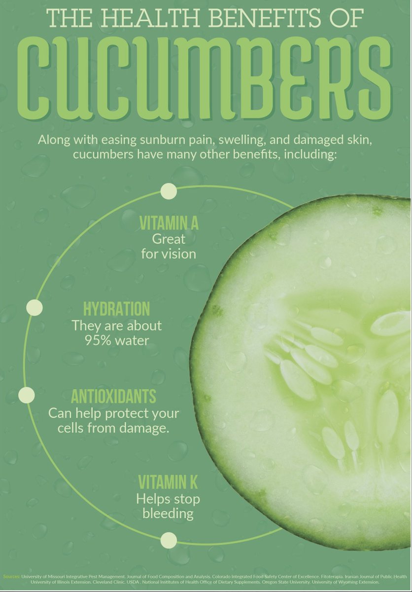 Eat the Greens..! 
Eat the cool Cucumbers 30 ints before your lunch / Dinner or have it in breakfast with your smoothy.

#eatyourcucumber #cucumbers #thirvingforbudget #healthyliving #knowwhatyoueat