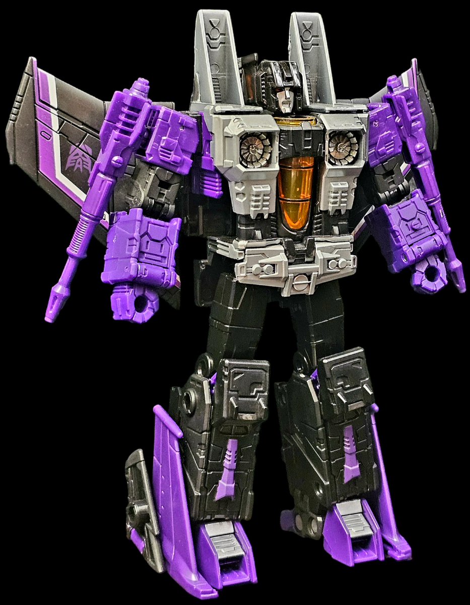 Skywarp. Cool name, cool figure.