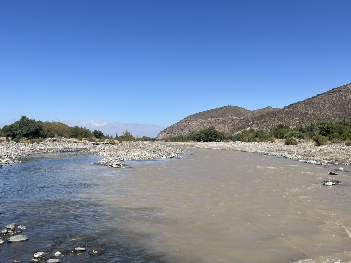 HCGALAZ's tweet photo. @GOREValparaiso DOH destruye cauce del rio aconcagua entre los puente el rey y puente las tinajas para instalacion de canalon deja el rio sin cauce definido esto va a ser un serio problema para las crecidas de cauce en invierno afectacion directa para vecinos del sector https://t.co/vwP9360Uoh