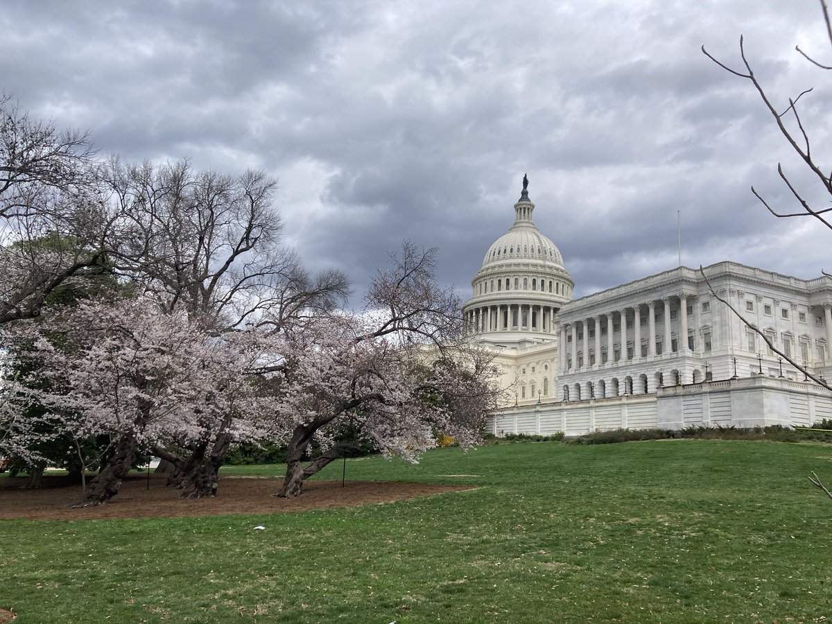 HendonMr's tweet photo. Capitol Tour! Beautiful sites. https://t.co/746C59WVEd