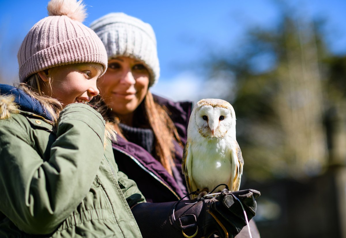 A wide range of falconry and birds of prey experiences are available for families, groups and couples on the Swinton Estate. Why not gift one of these incredible experiences with our gift vouchers? Visit: ow.ly/irii50QnLJY