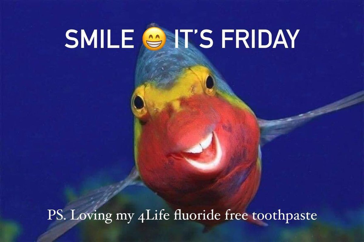 FeelShareDoGood's tweet photo. Smile it’s Friday 🐠😬🦷🪥🙌

P.S. Loving my fluoride-free enummi toothpaste. Did you know that it contains Transfer Factor in it? Amazing for overall mouth health. 
https://t.co/anZQ2F9Tmn. 
#funfridayvibes #toothpaste #transferfactor #healthygums https://t.co/PLnsCpVstf
