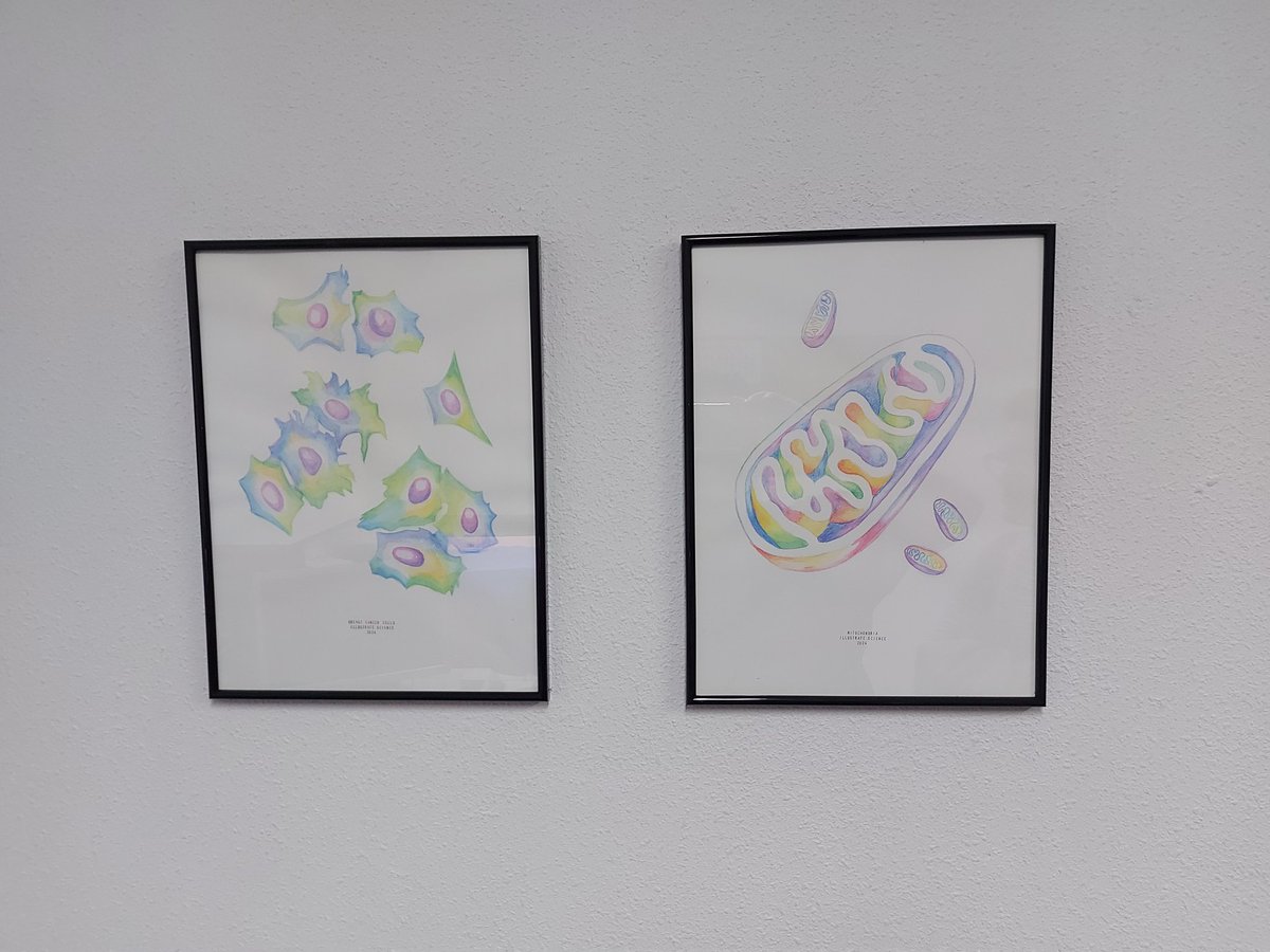 JordiSastre04's tweet image. Que bonito está mi despacho!!!
Impresionante @IllustrateSci !
#cuadros #despacho #cienciaYarte