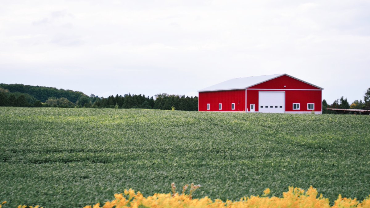 MasterBuildz's tweet image. Looking for a reliable pole barn builder? 🏚️ Master Buildz has the skills and expertise to construct a sturdy and functional pole barn for your needs. 

Visit our website to learn more and schedule a quote today: zurl.co/KG1f  #PoleBarnBuilds #QualityConstruction
