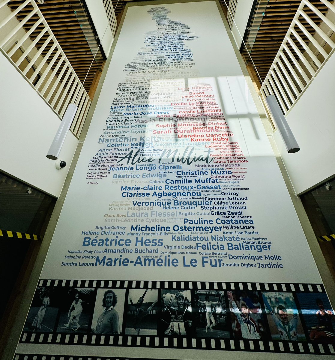 Dominique Moyse tweet media