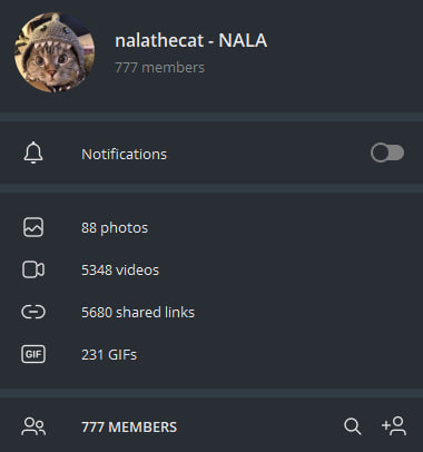 nalathecat tweet media