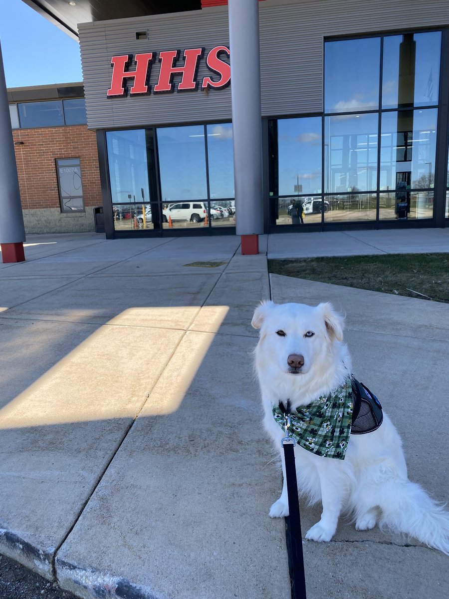 Soul Harbour Ranch tweet media