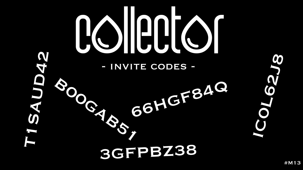 Collector haus tweet media