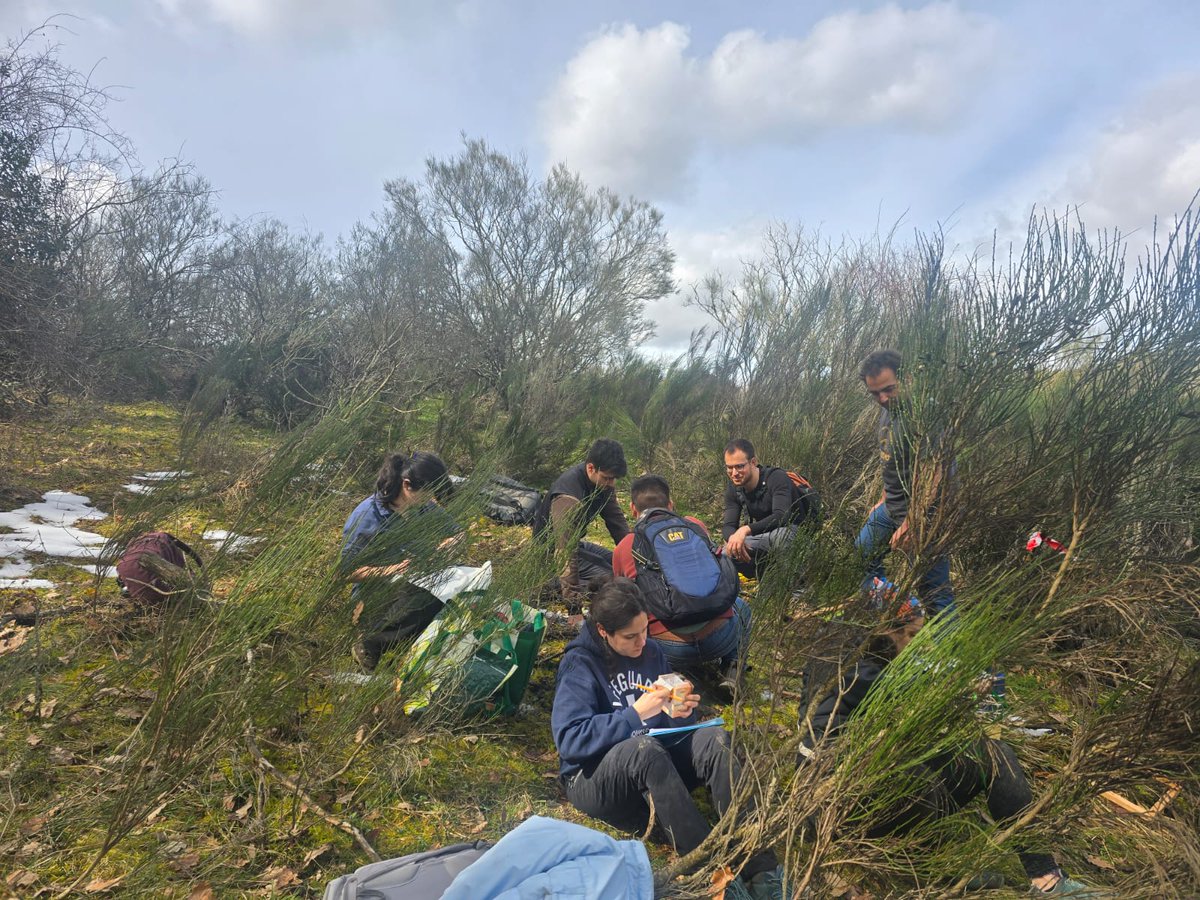 DaphLopezMarcos's tweet image. Semana intensa de campo: martes y miércoles con el alumnado de #Edafologia de la @ETSIIAAPalencia y viernes muestreo del proyecto @restormine en #Guardo acompañados por el alumnado del Máster #DataForest de la @UVaPalencia